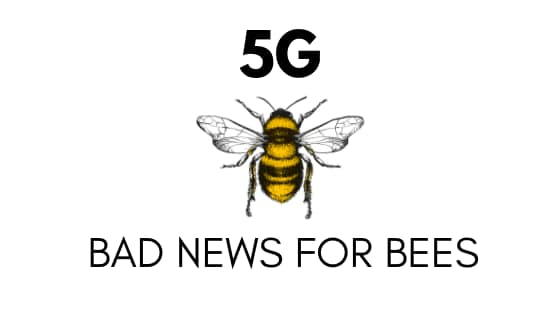 5 G – Killer der Bienen Bäume und Menschen